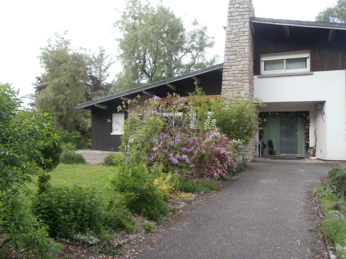 L'Echappee Belle A L'Etang D'Anty -Appartement Saint-Nabord Eksteriør bilde